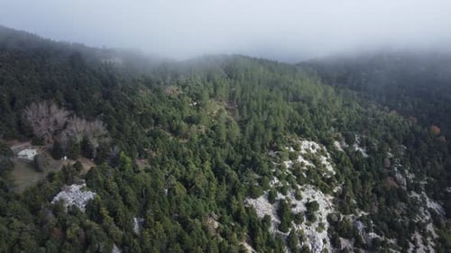 Vue par Drone d'une montagne brumeuse. Voler au-dessus d'une forêt et à travers les nuages | 4K