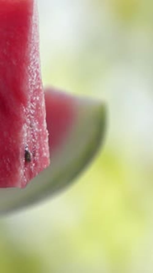 Flying of Watermelon and Slices in Garden Background