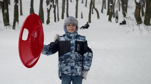 Young cheerful boy is standing on a snow covered hill with his sleds