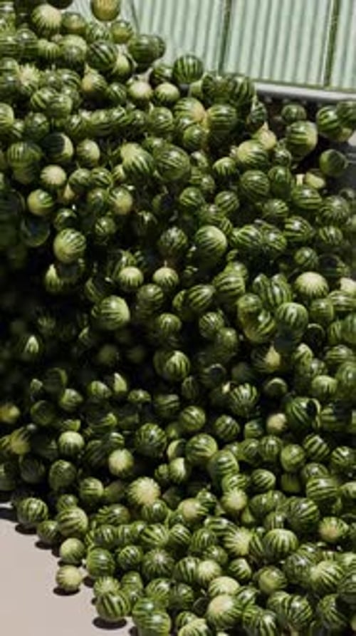 Surreal Watermelon Cascade in a Building Courtyard