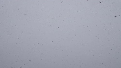 Große Schneeflocken fallen vom Himmel, starker Schneefall und kein Wetter im Winter.