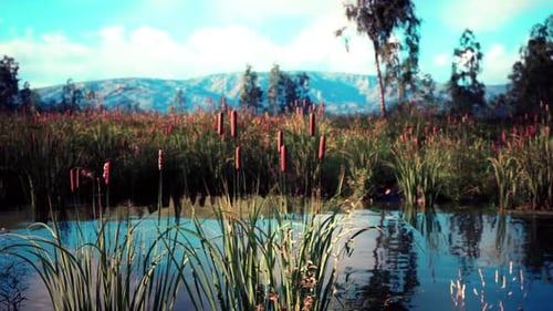 Animated Wetland Landscape with Cattails and Water Movement