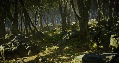 Enchanted Forest Path Leading to Hidden Wonders at Dawn Light