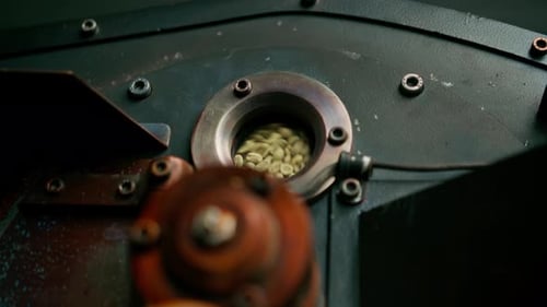 Coffee beans are rotated in a machine for roasting coffee beans close-up of craft coffee production