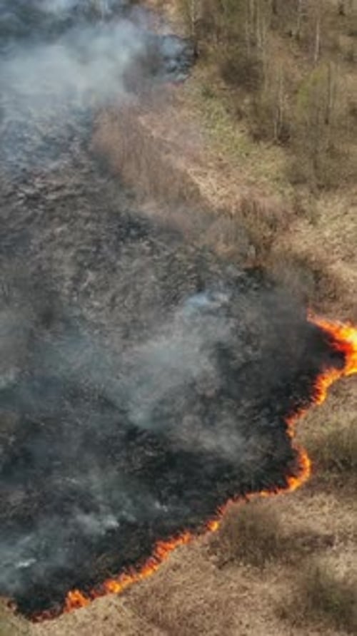 Wildfire Burning in Rural Field, Aerial View