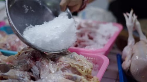 the Butcher Distributes Ice to the Trays Containing Chicken Meat Already Cut and Prepared in the
