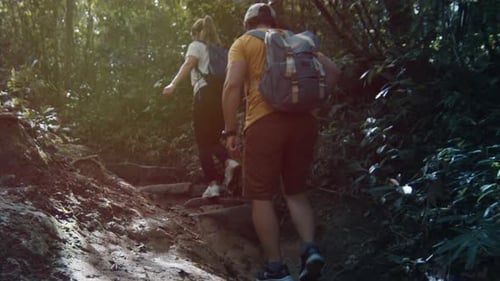 Couple Hiking in the Forest