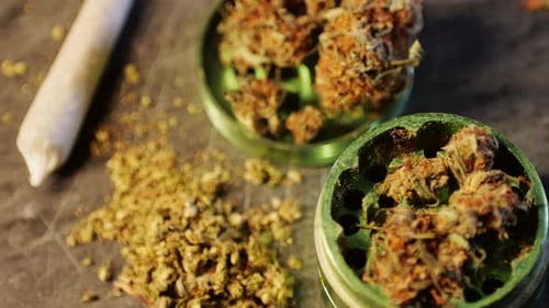 Medical Marijuana Bud Flowers of Cannabis with Big Joint and Grinder and Shredded Cannabis THC CBD
