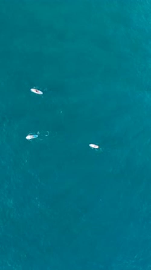 Vertical Video Mediterranean SUP Festival Features Paddleboarding Stunning Cliffs and Relaxation on
