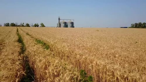 Vue aérienne d'un élévateur à grains devant un champ de blé, drone quadricoptère, caméra volant vers la farine ou l'huile