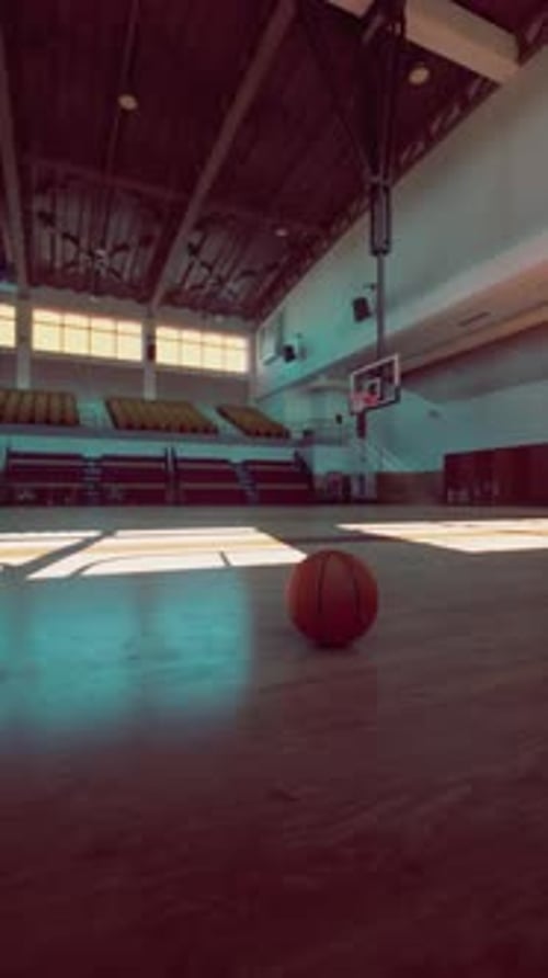 Basketball Resting on Gym Floor