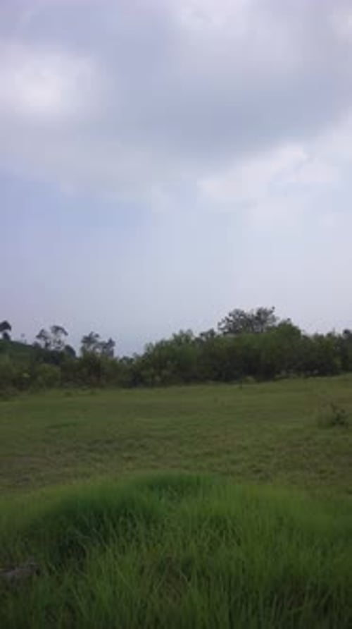 beautiful vertical video portrait natural scenery mountains natural panorama hills, and forest