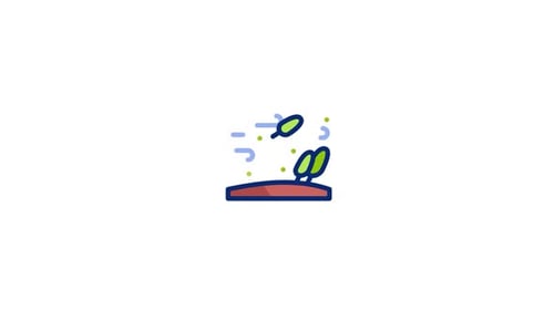 Hurricane Animated Icon