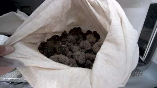 Sack of wild French black truffles inside the back of a van, Dolly in reveal shot