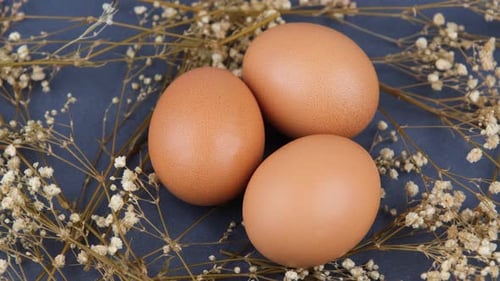 huevos