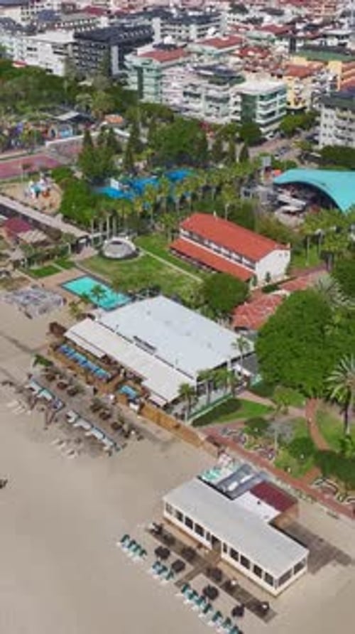 Vertical Video of a Picturesque Mediterranean Beach With Azure Waters Framed By Palm Trees and