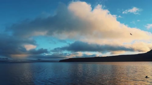 Hermosa vista de pájaros posando en el mar, cielos con nubes y montañas en el fondo