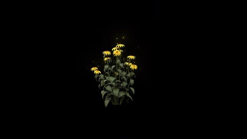 Fleurs d'échinacée poussant avec des particules