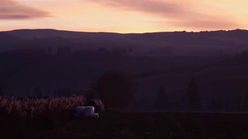 Sunset in New Zealand with red sky and beautiful foreground. In the farm field.