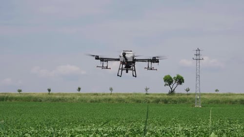 Agricultural drone fly above green crop field and prepare to spray chemicals