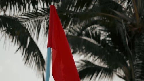 Torn Red Flag Waving Against Palm Trees