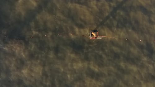 Un hombre vadea un mar tranquilo inspeccionando líneas de pesca, Tailandia