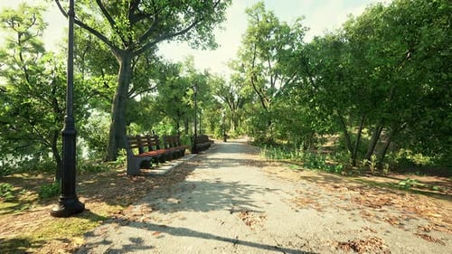 Paths in the Park Zone