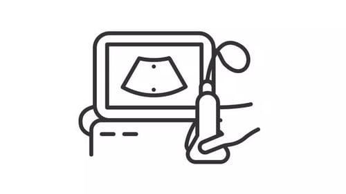 Animated Ultrasound Scan Medical Diagnostic Icon