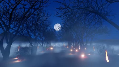 Travel Through A Dark And Scary Forest