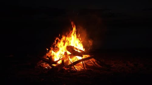 Warme orangefarbene Flammen, die aus knisternden Holzstämmen aufsteigen und einen faszinierenden Schimmer auf tiefes Schwarz werfen