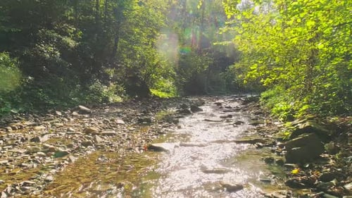 Aerial View Beautiful Natural Landscapes of the River Rocky Banks