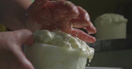 A homemade cheese producer, produces handmade mozzarella with fresh quality milk from her cows she
