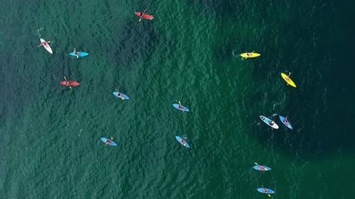 Vista aérea para um grupo de pessoas com caiaques no mar