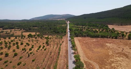 Landschaft der Farmen und der Straße in Portugal