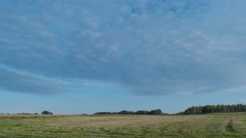 Scenic Farmland Landscape with Blue Sky and Clouds