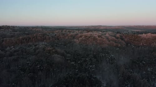 Drone Shot of Beautiful Winter Landscape with Hills and Snowy Forest at Sunrise