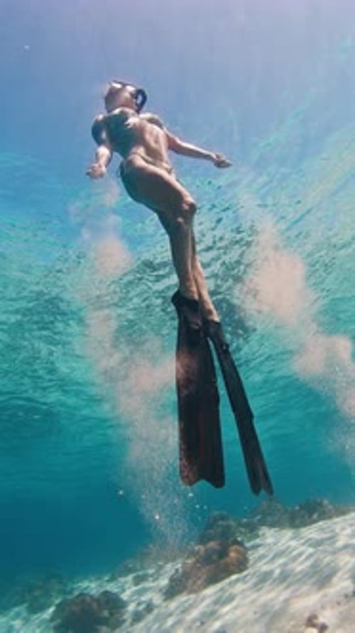 Sexy freediver. Female freediver swims in the tropical sea. Woman free diver in bikini glides underw