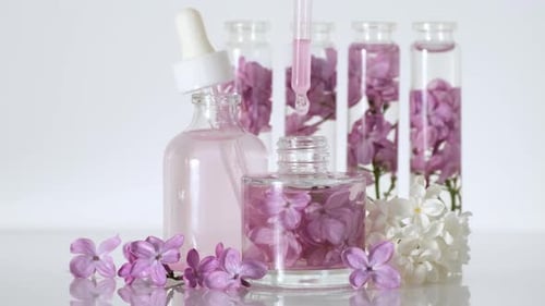 Parfümerie. Öl-Essenz mit lila Blüten. Blumiges Parfüm. Herstellung von Parfums im Labor