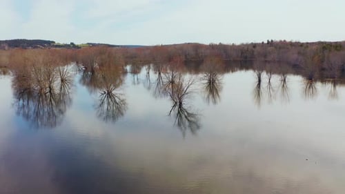 Aerial drone view flying over a flooded river with trees underwater