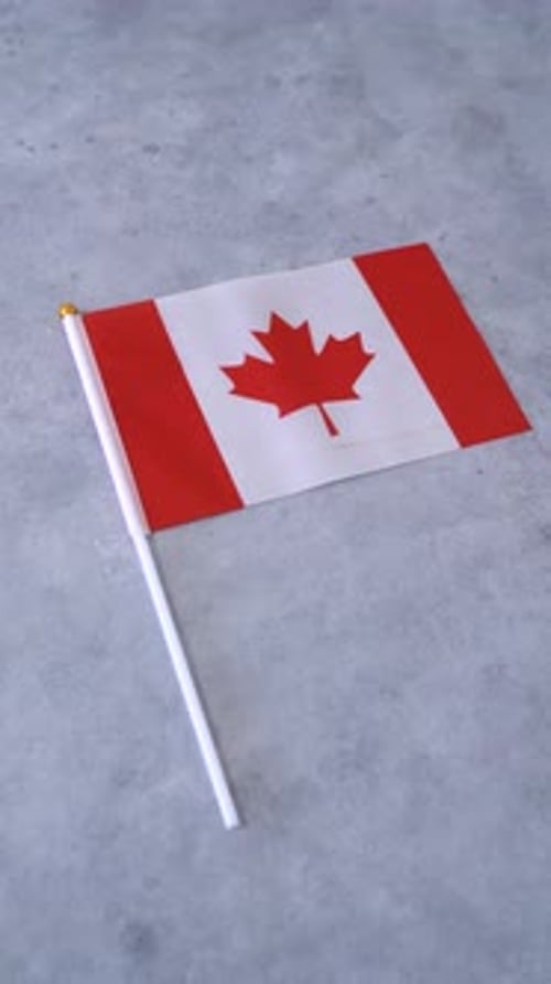 Canadian Flag Displayed on a Grey Background, Studio Shot