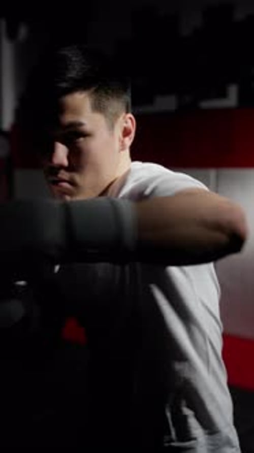 Le regard déterminé de Boxer dans un éclairage Théâtral