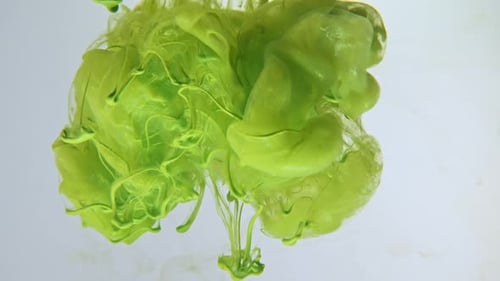 Light Green Color Paint Drops in Water Against White Background