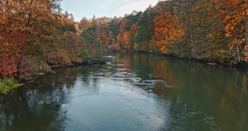 River Brda in autumn and colorful forest in Poland.