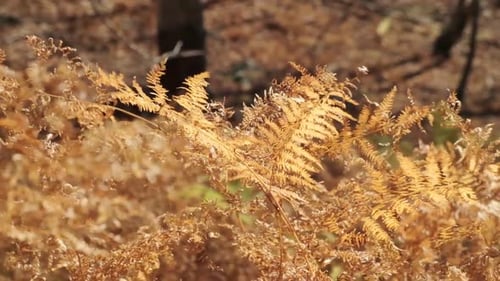 Hiking from the famous Valbona to Theth valley. Valbone to Thethi in the Albanian Alps. Man backpack
