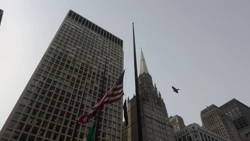 American Flags at Half-Mast in Urban Cityscape