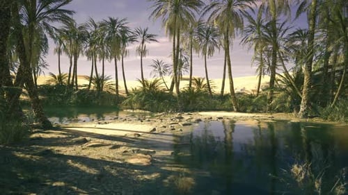 Retraite tranquille avec piscines tranquilles et vues imprenables sur le ciel