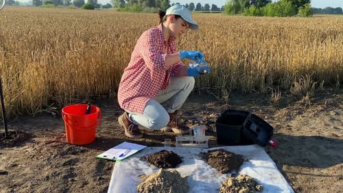 Female Agronomist Performing Soil Certification at Field at Sunrise