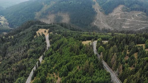 Aerial View Of Mountain Roads Surrounded With Green Coniferous Forest - drone shot