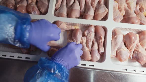 Chicken Processing Line at Poultry Farm – Food Industry, Industrial ...