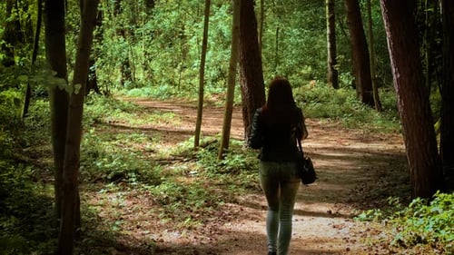 Woman Walking Alone on Forest Trail Lined with Trees and Foliage Female Moving Calmly Through Wooded